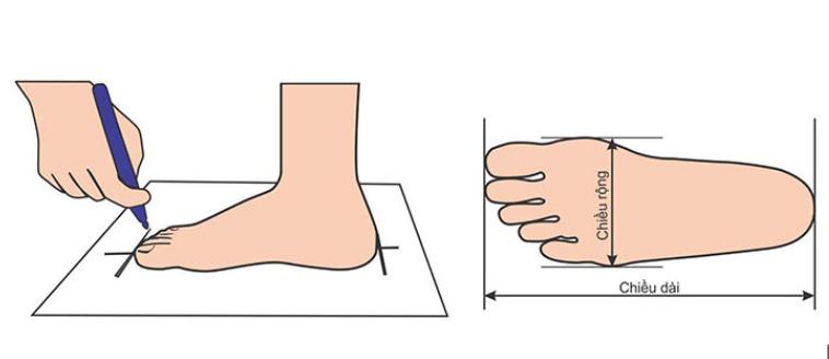 Vẽ khuôn đo kích thước chiều dài bàn chân